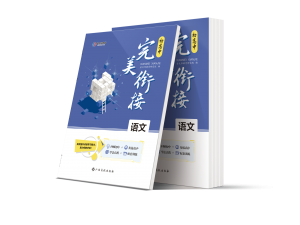 《完美衔接》